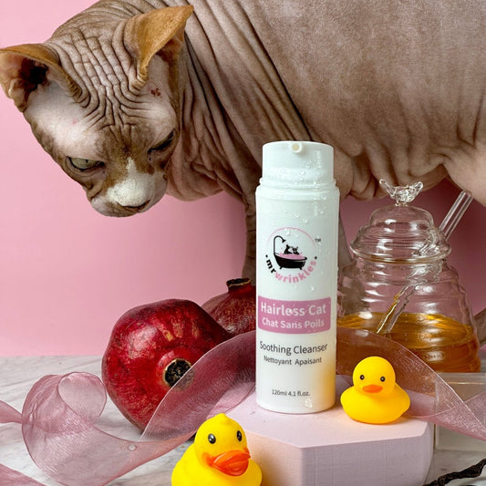 A Sphynx cat stands over Mr Wrinkles skin cleanser with of pomegranates, vanilla beans, a honey jar & rubber duckies