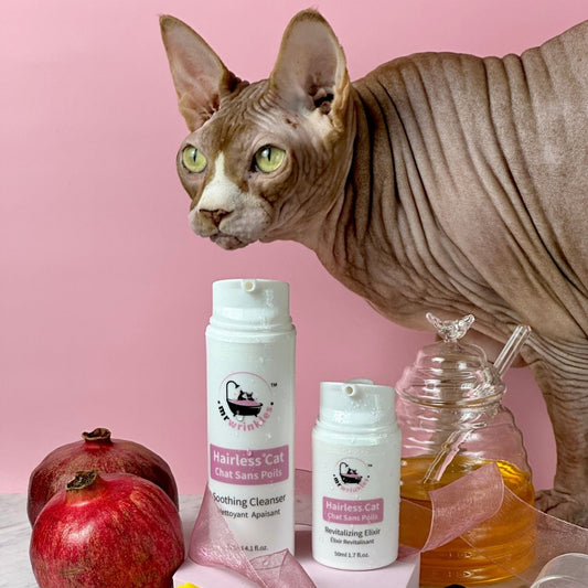 A Sphynx cat stands over 2 product bottles and props of pomegranates, vanilla beans, a honey jar & yellow rubber duckies